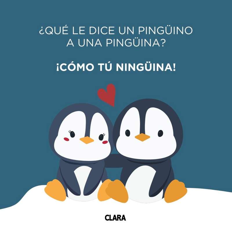 chistes malos y cortos