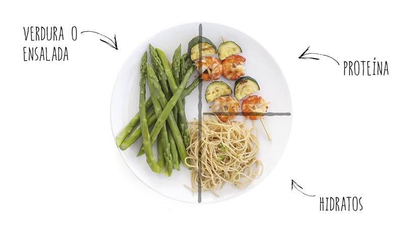 metodo del plato harvard
