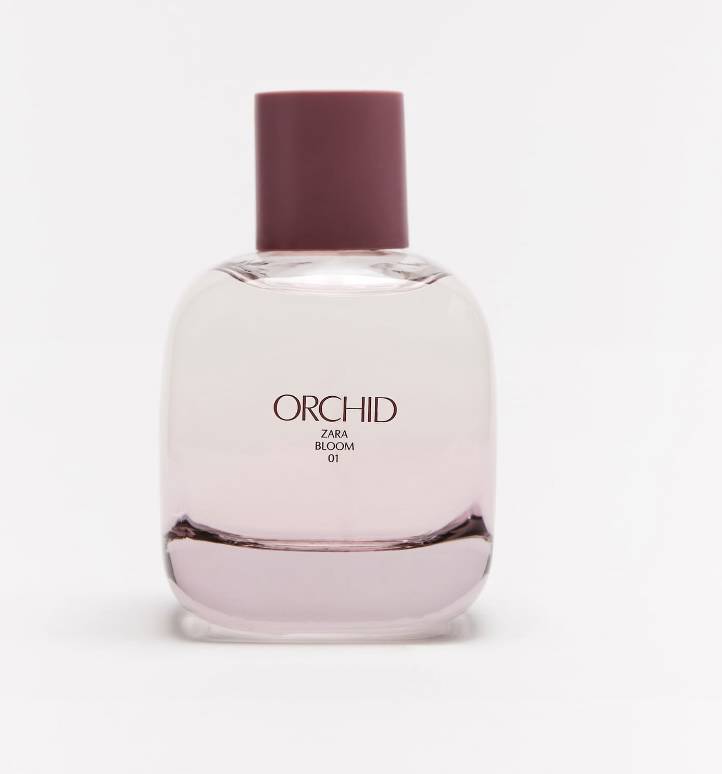 Orchid