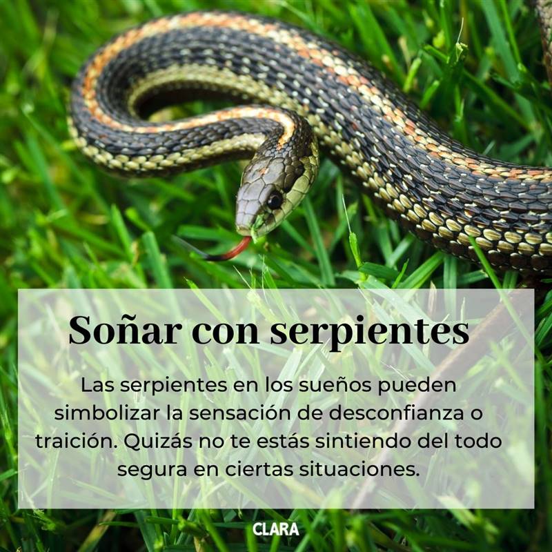 soñar con serpientes